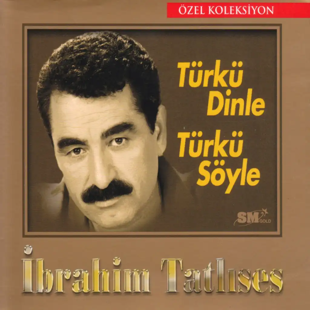 Türkü Dinle Türkü Söyle (Özel Koleksiyon)