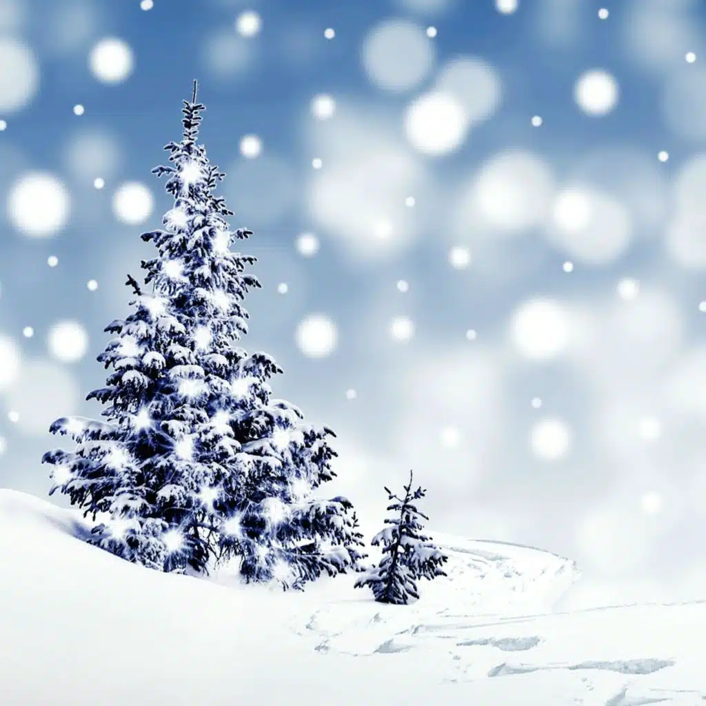 White winter (With YeonSun)