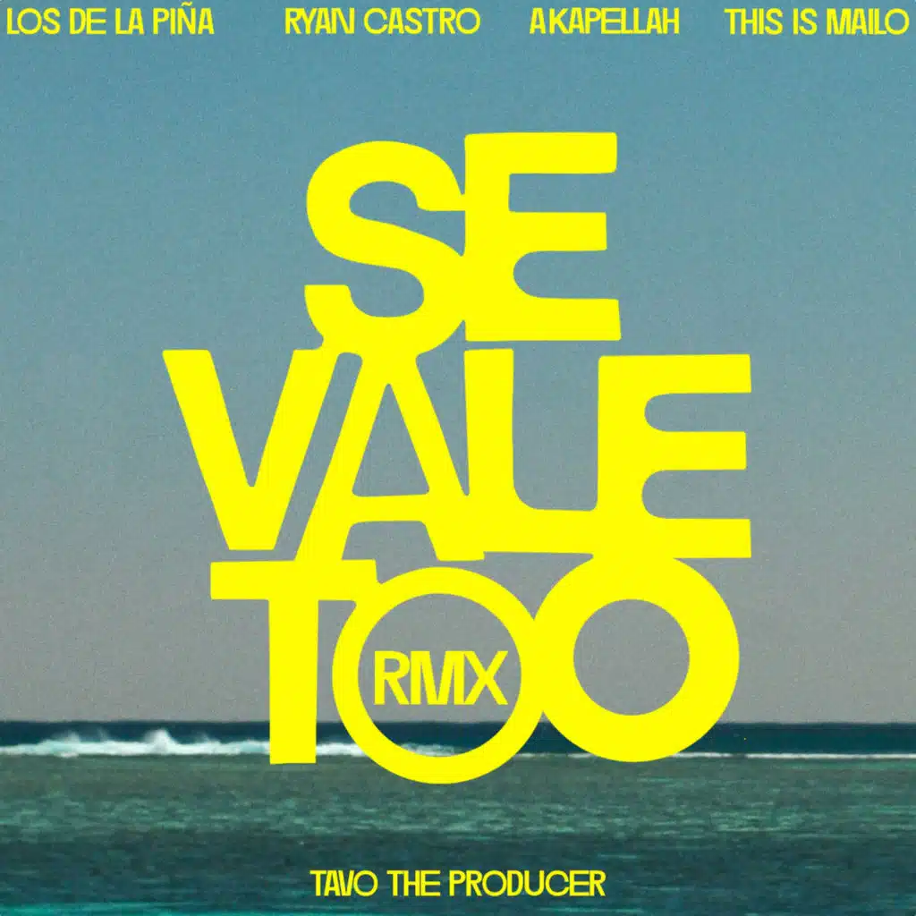 SE VALE TOO (feat. This Is Mailo, Tavo the producer) [Remix]