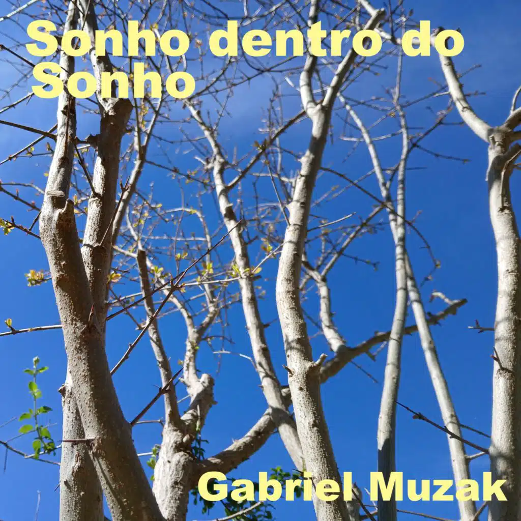 Gabriel Muzak