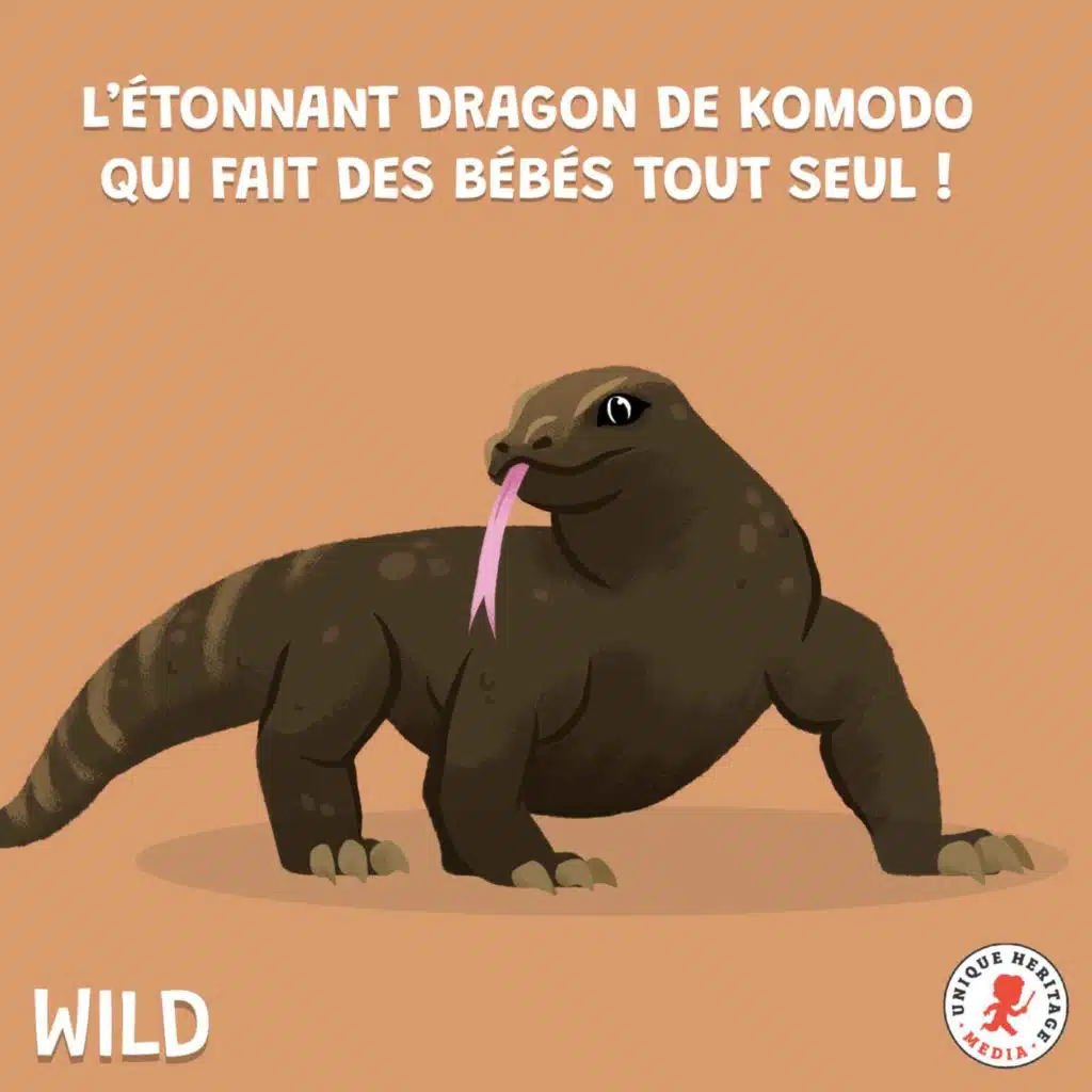 L'étonnant Dragon de Komodo qui fait des bébés tout seul ! 