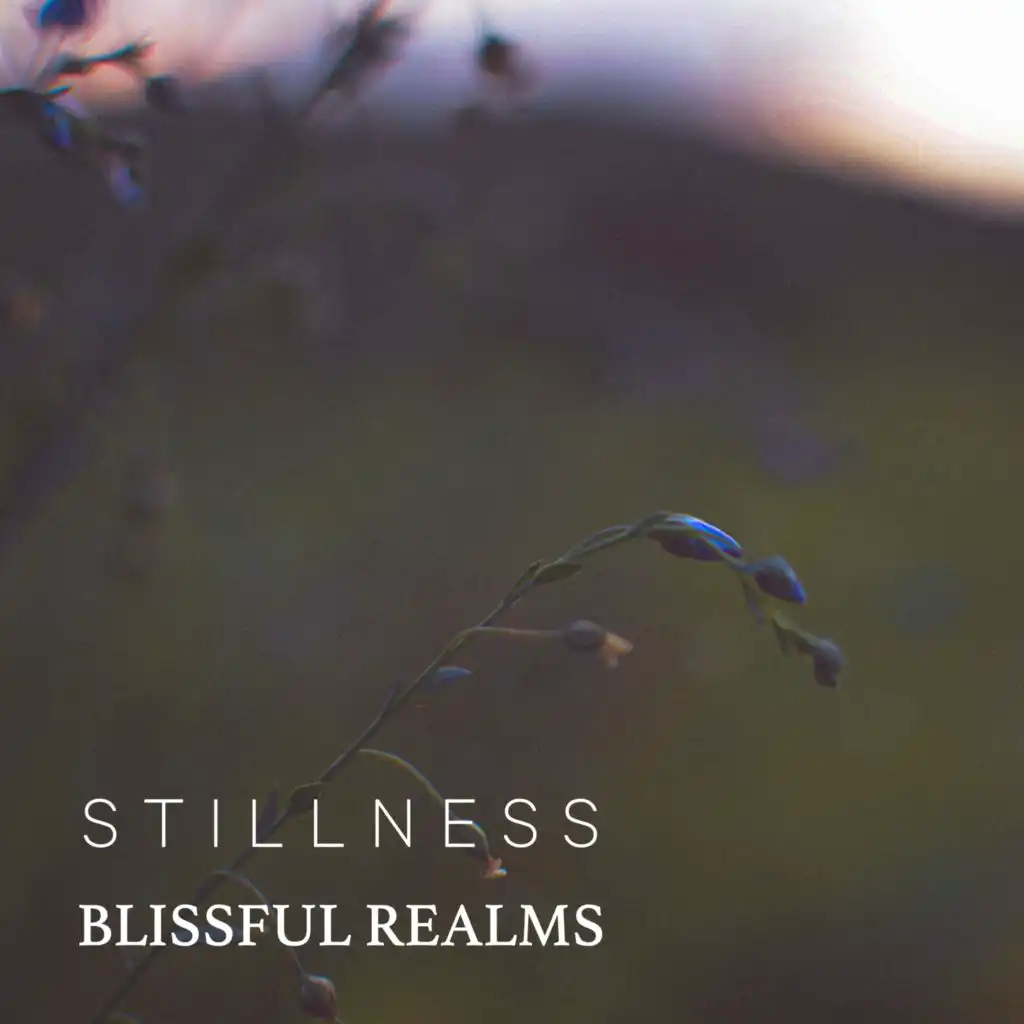 Stillness