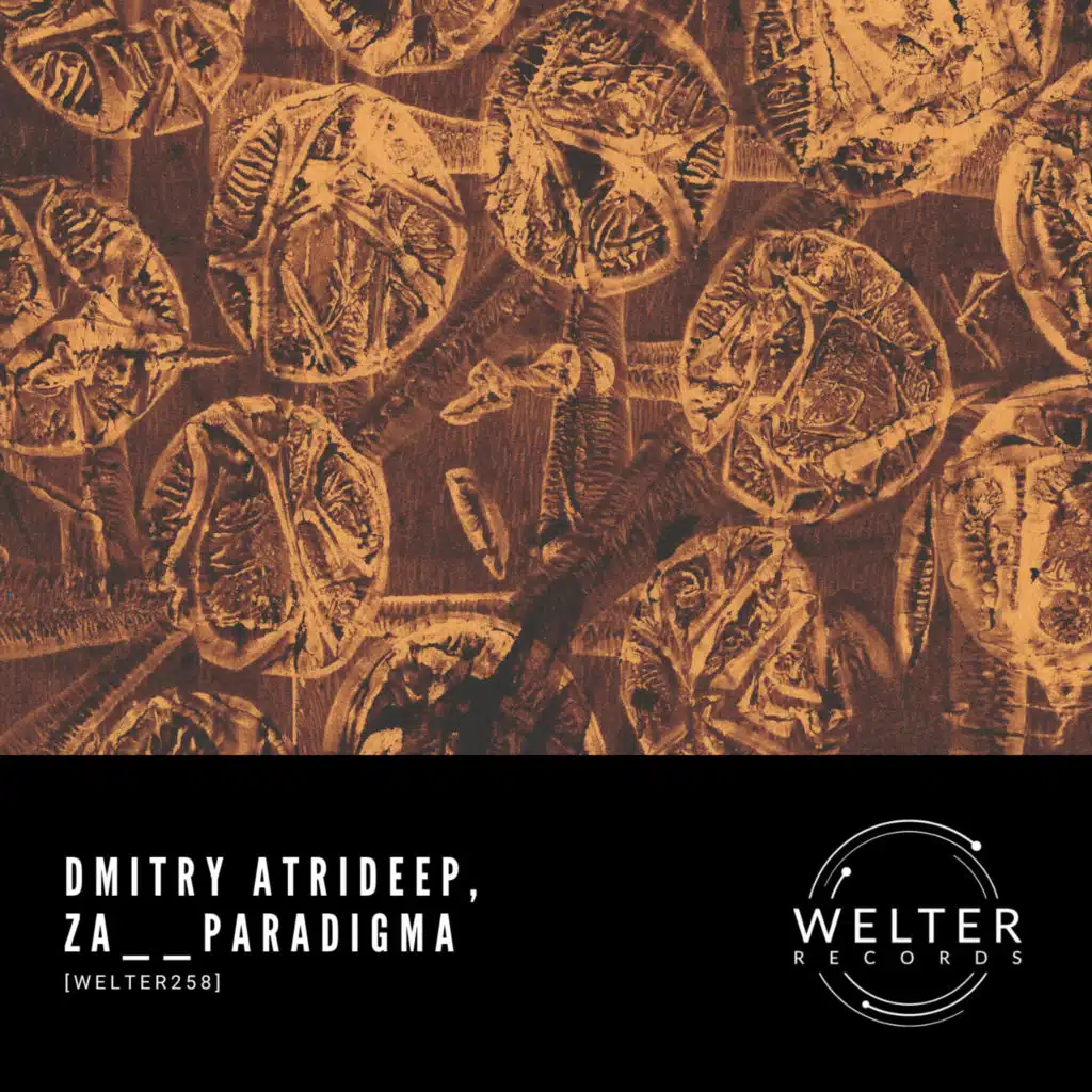 Dmitry Atrideep & Za__Paradigma