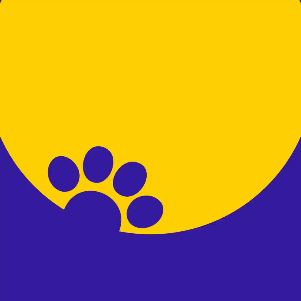 Music for Pets: The Comfort Zone