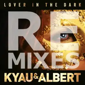 Lover in the Dark (Tokn Remix)