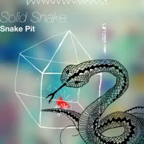 Solid Snake