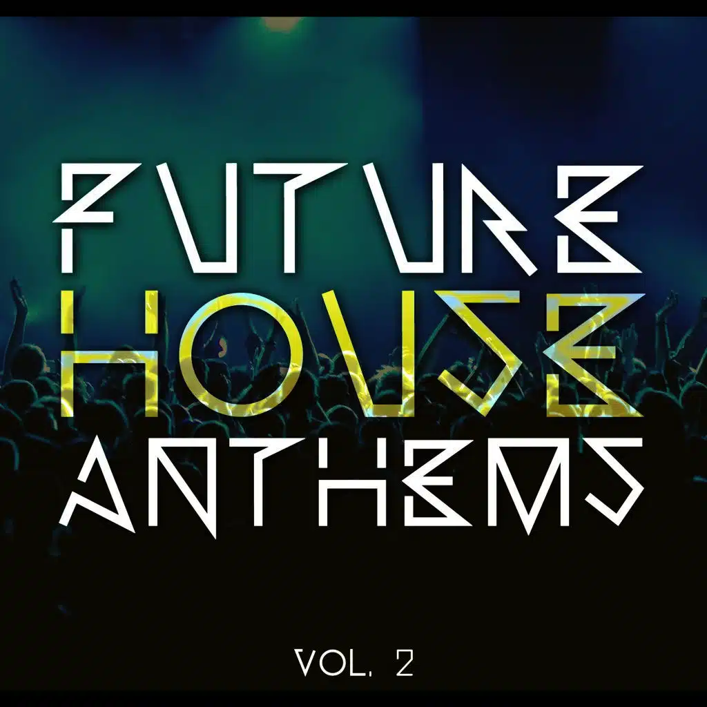 Future House Anthems, Vol. 2