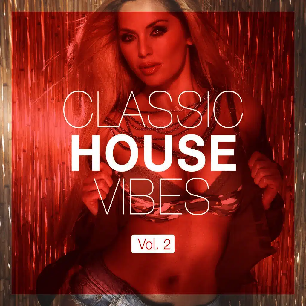 Classic House Vibes, Vol. 2