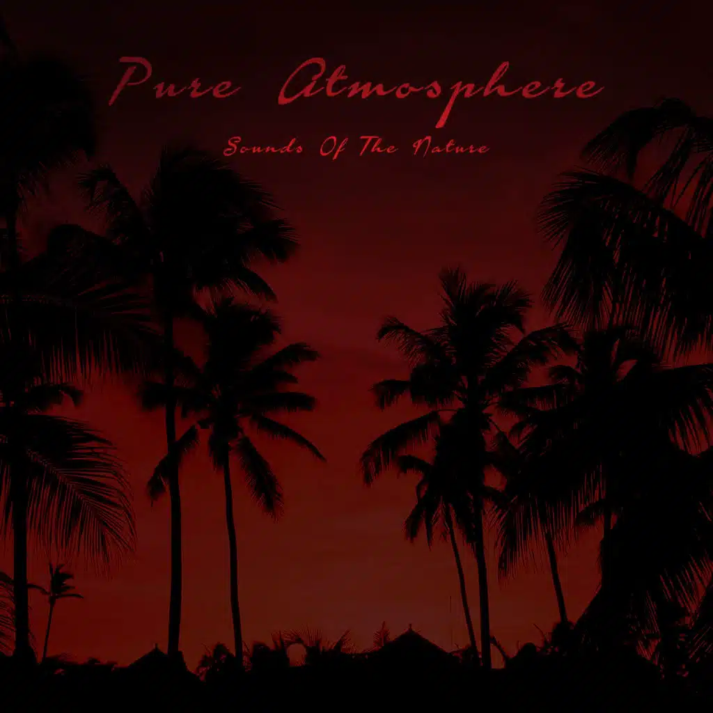 Pure Atmosphere - Sounds of the Nature