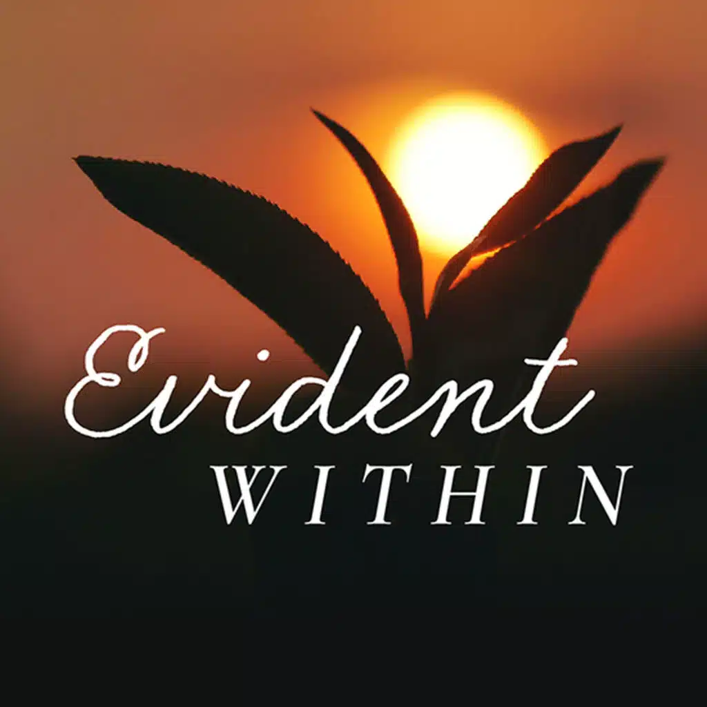 Evident Within