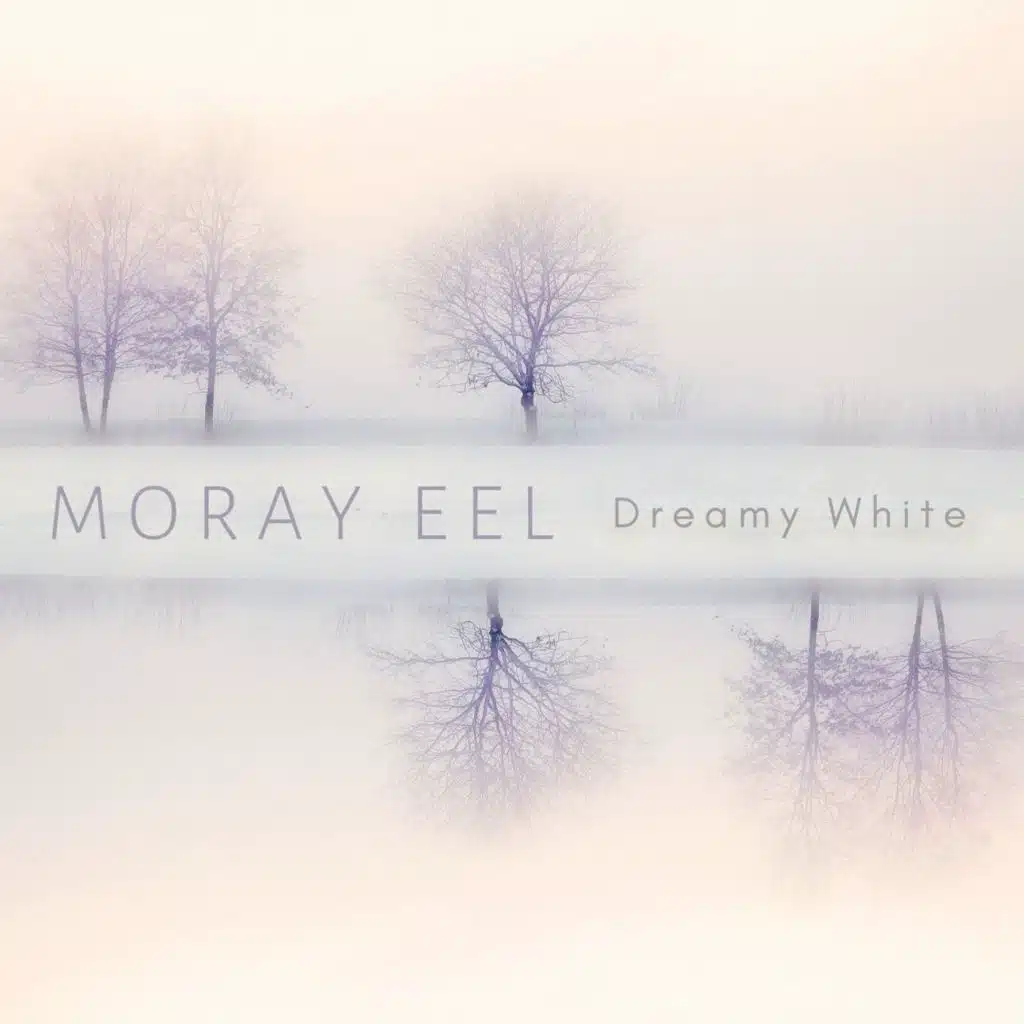 Dreamy White