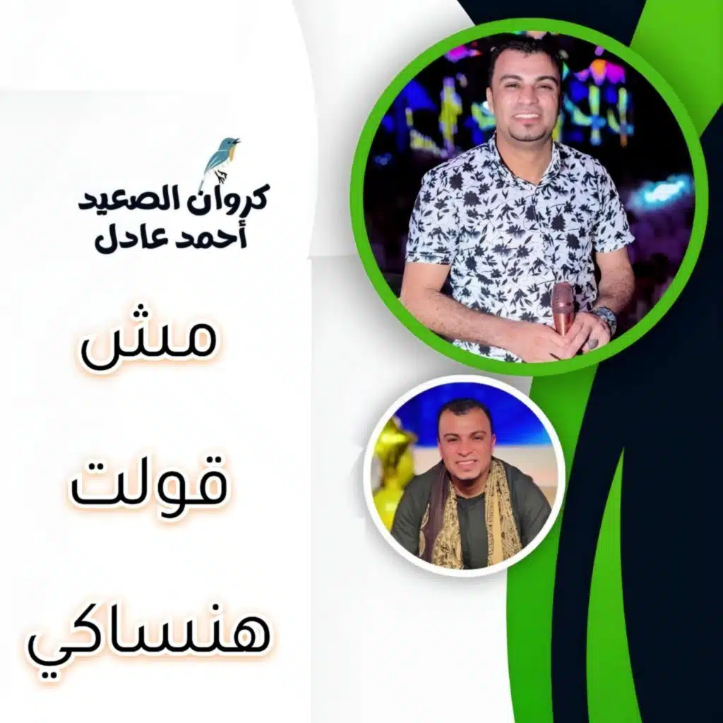 مش قلت هنساكي