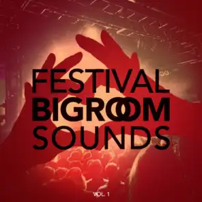 Festival Bigroom Sounds, Vol. 1