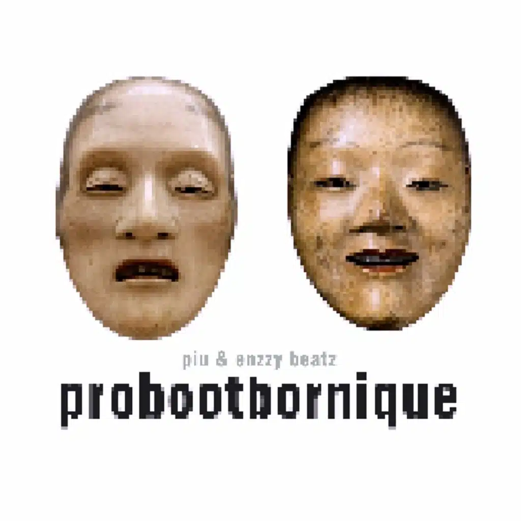 Probootbornique