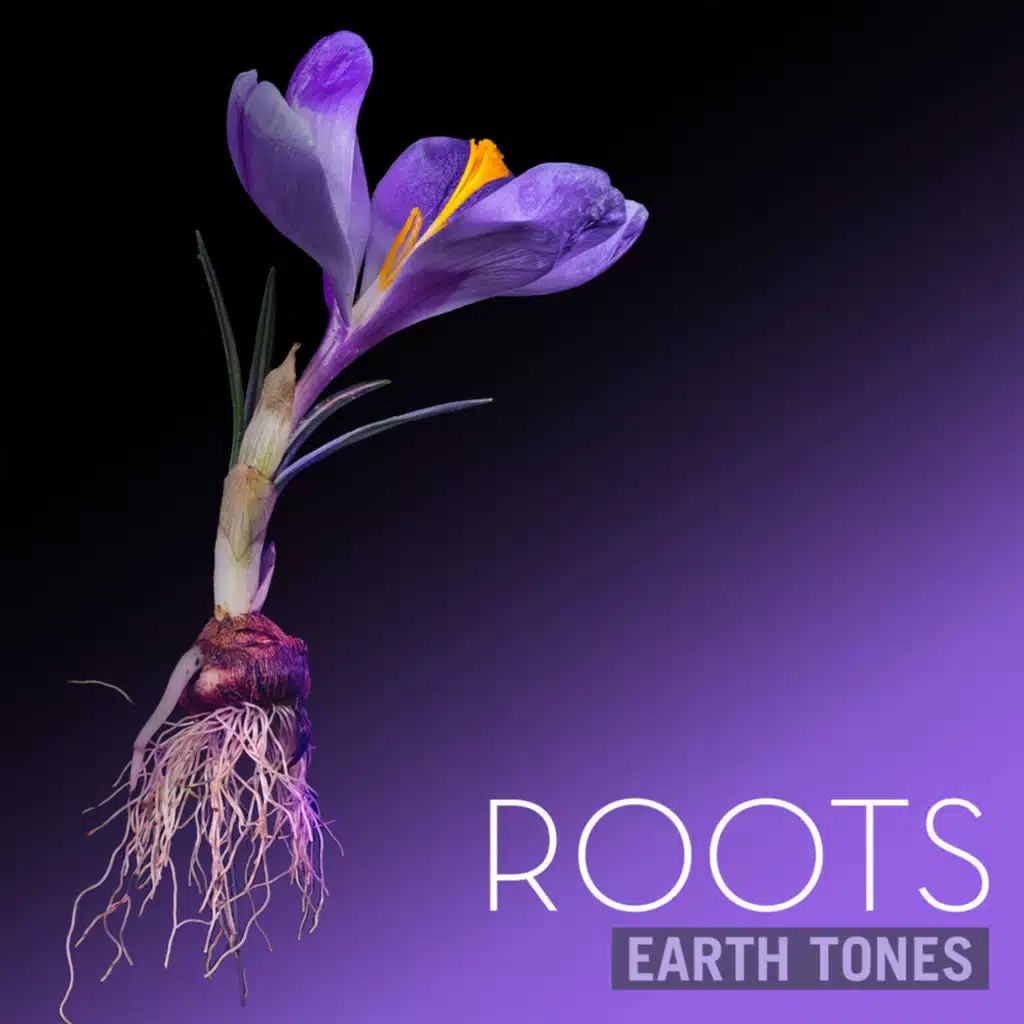 Earth Tones: Roots