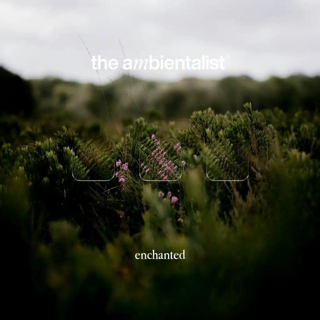 The Ambientalist