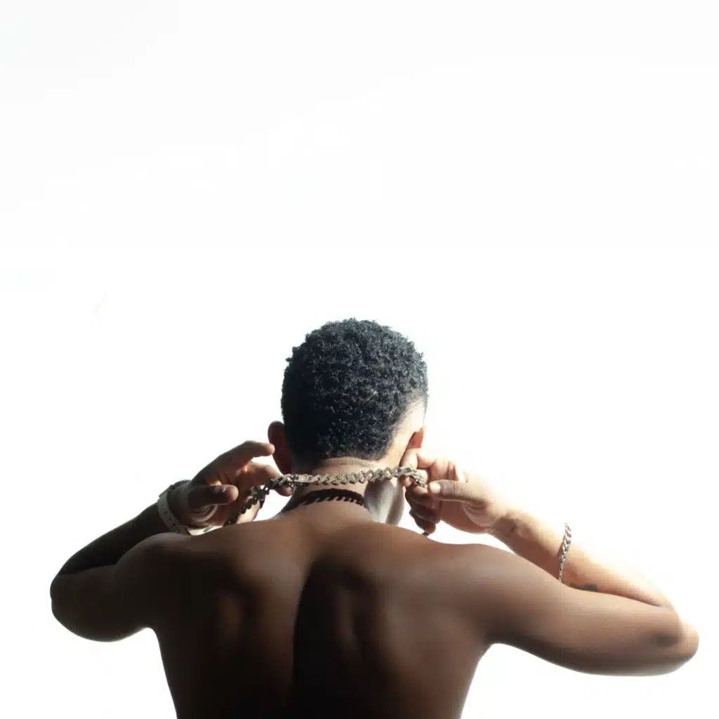 A Malandragem de um Cavalheiro