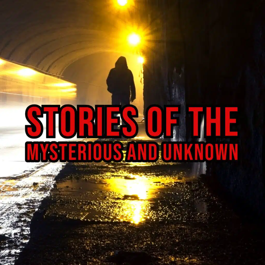 S5 Ep224: Episode 224: Stories of the Mysterious and Unknown