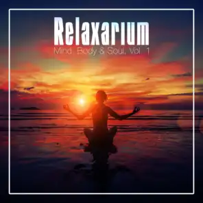 Relaxarium - Mind, Body & Soul, Vol. 1