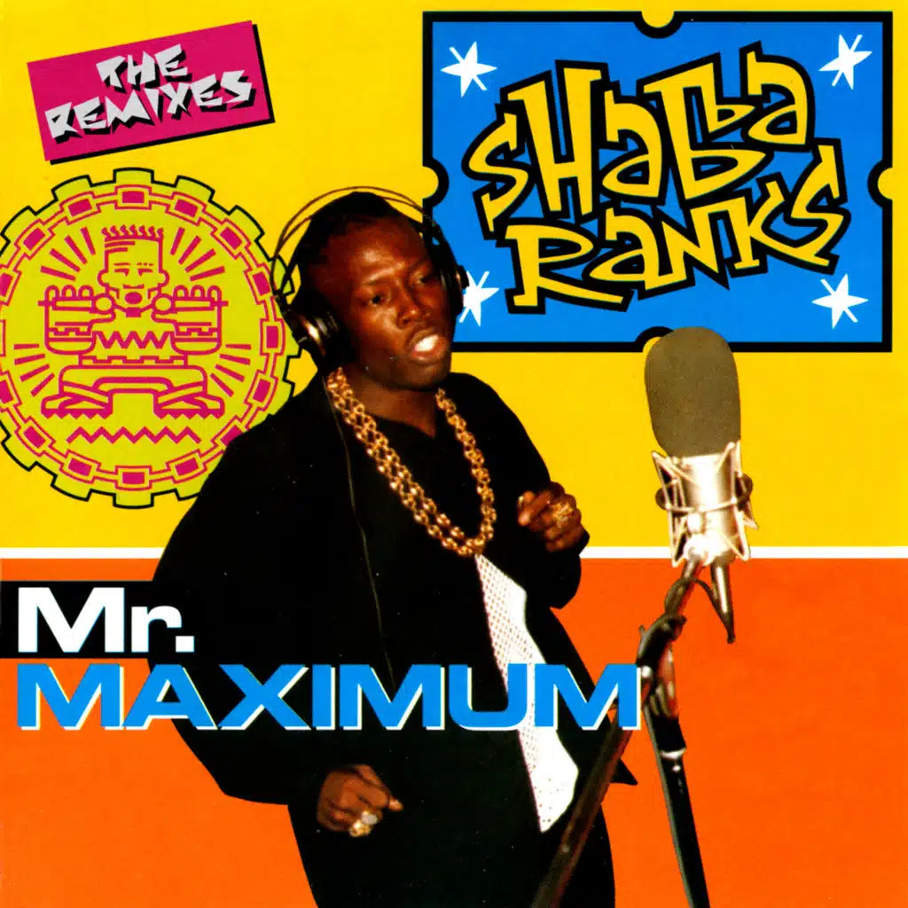 Mr. Maximum (The Remixes) [feat. Music Works, F&F Dream Time & DJ RL]