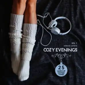 Cozy Evenings, Vol. 1 (25 Warm up Lounge Tunes)