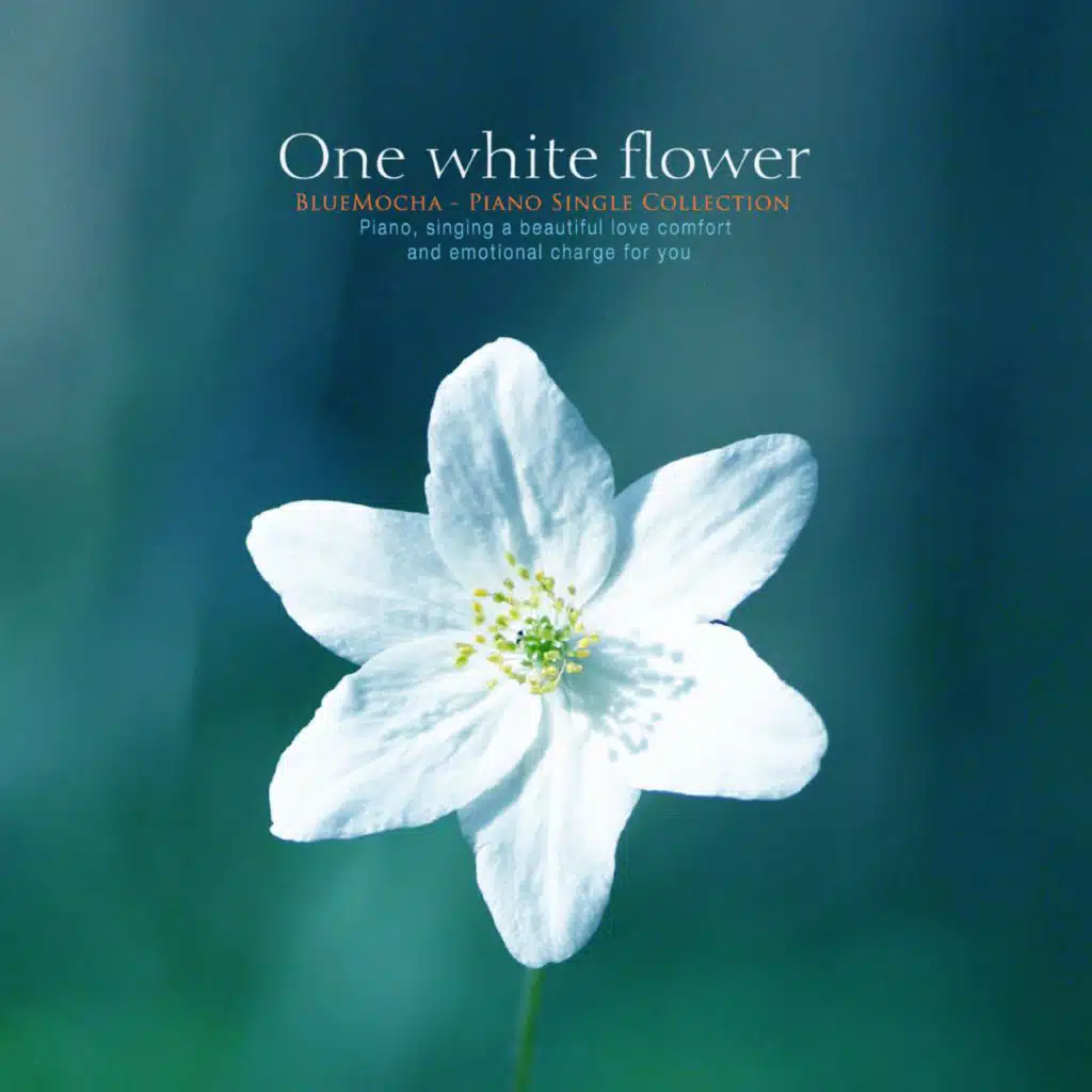 One white flower