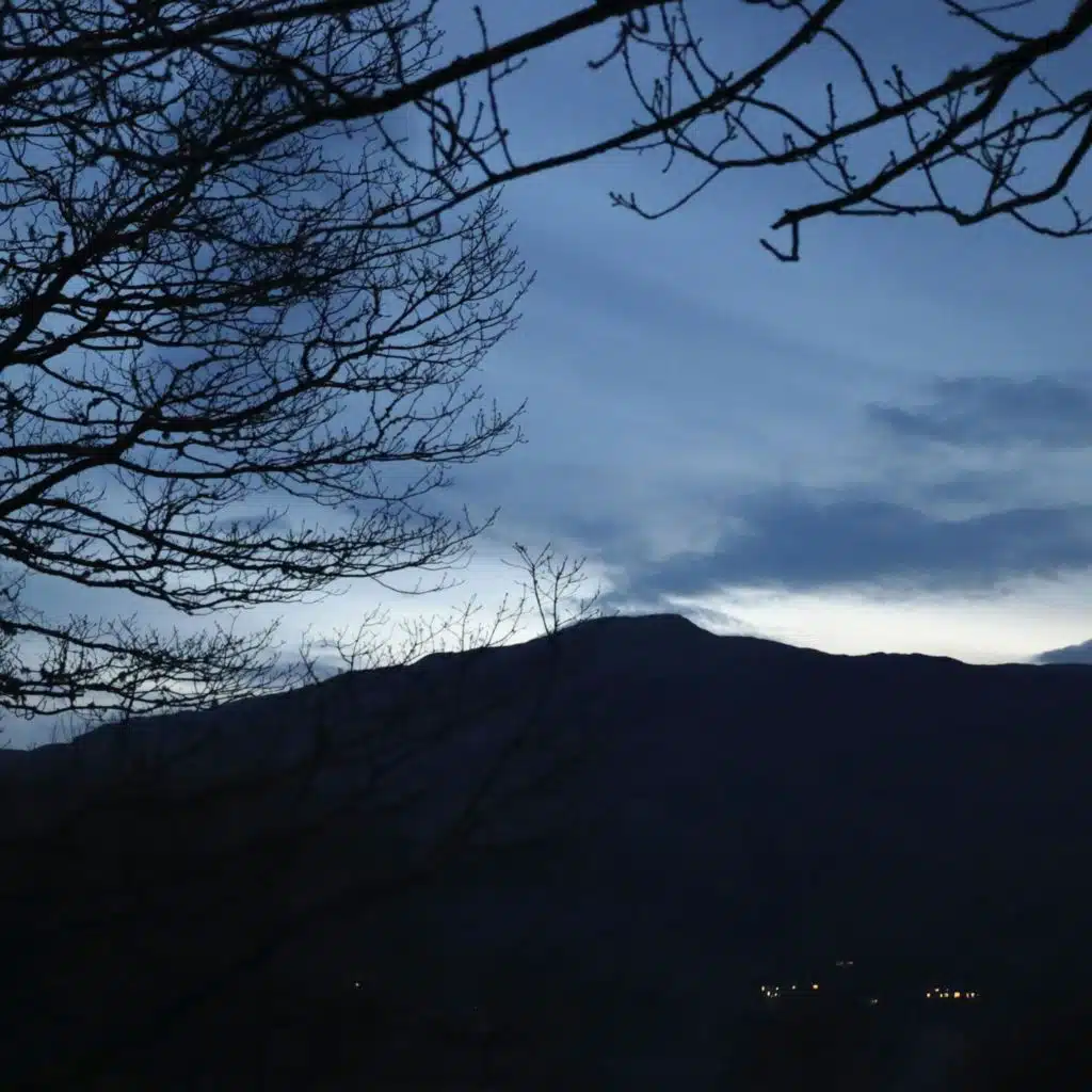Sound Escape 211. Enjoy tawny owls calling in a woodland - recorded by author Polly Atkin