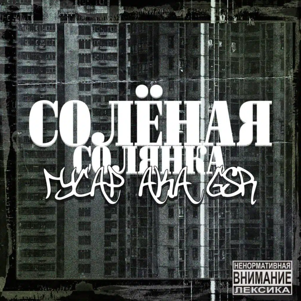 Солёная солянка