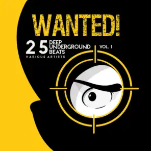 Wanted! 25 Deep Underground Beats, Vol. 1