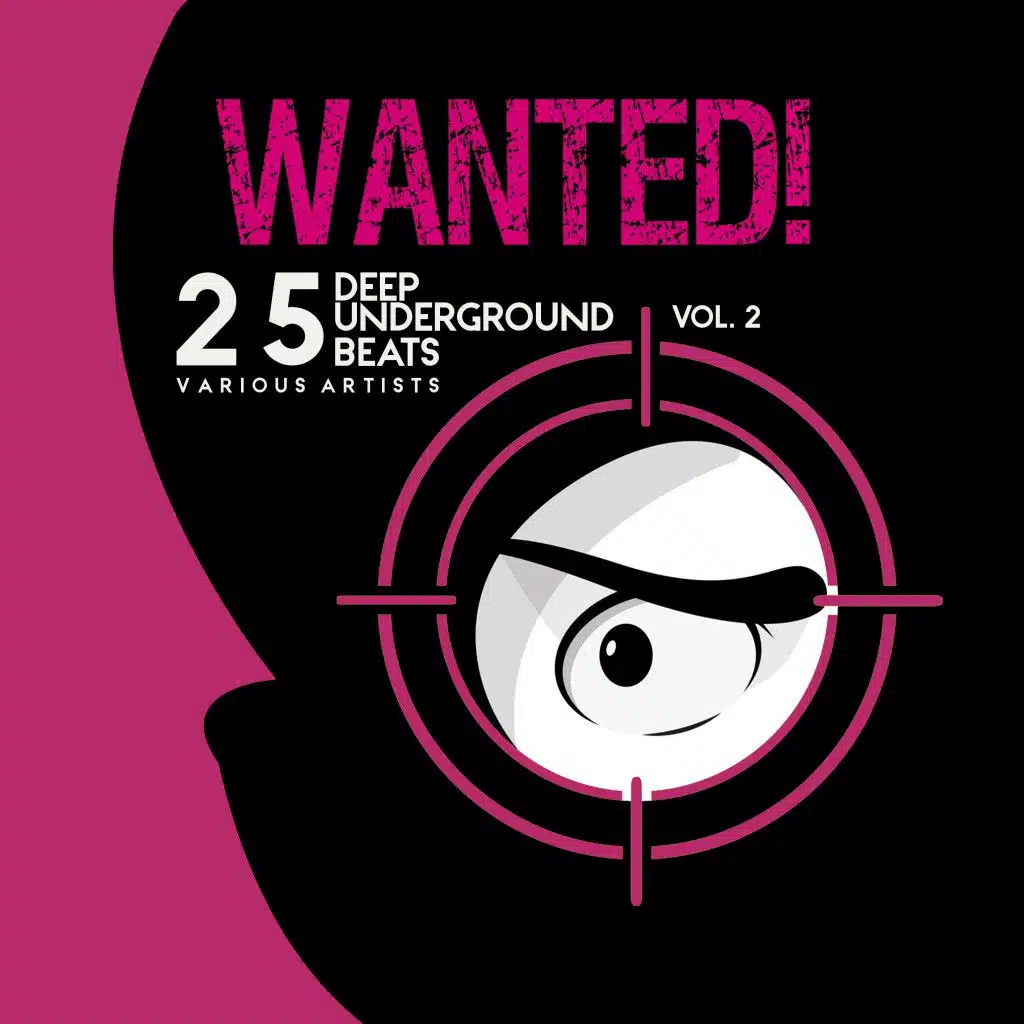 Wanted! 25 Deep Underground Beats, Vol. 2