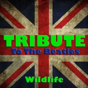 Tribute To The Beatles