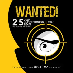 Wanted! 25 Deep Underground Beats, Vol. 1 (Including Two Live & Raw DJ Mixes)
