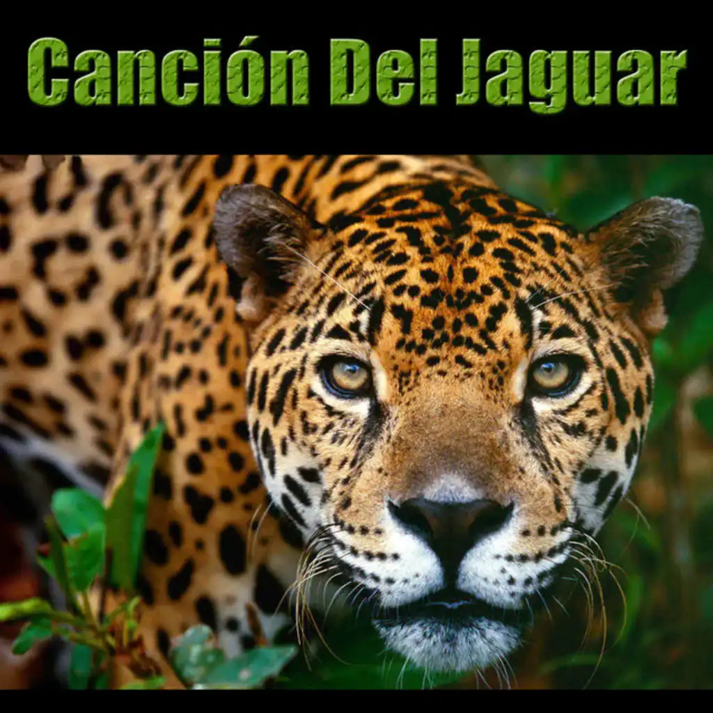 Cancion del Jaguar - Luna