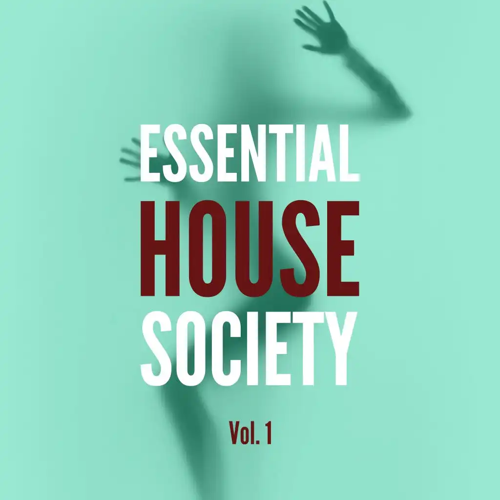 House Music (Jerome Robins Vs Deko-Ze Remix)