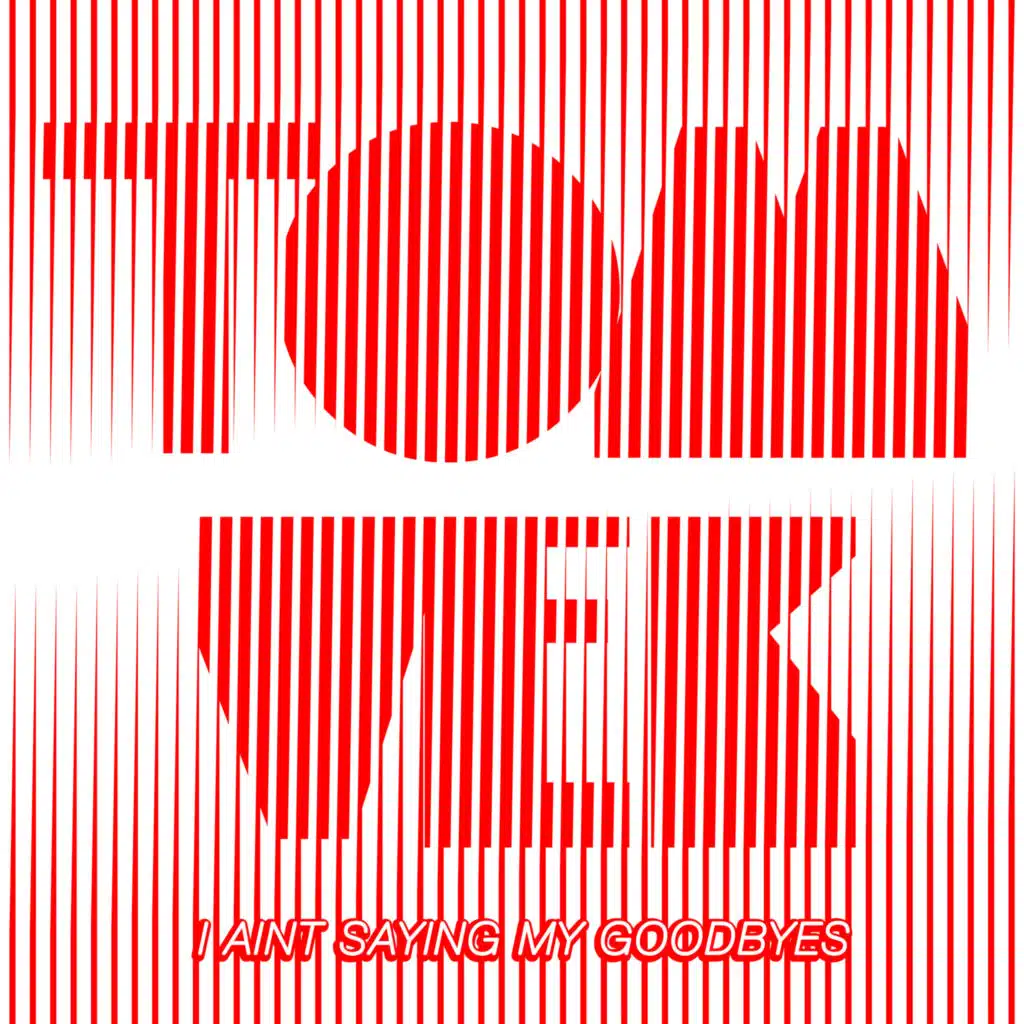 I Ain't Saying My Goodbyes