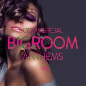 Commercial Bigroom Anthems, Vol. 2