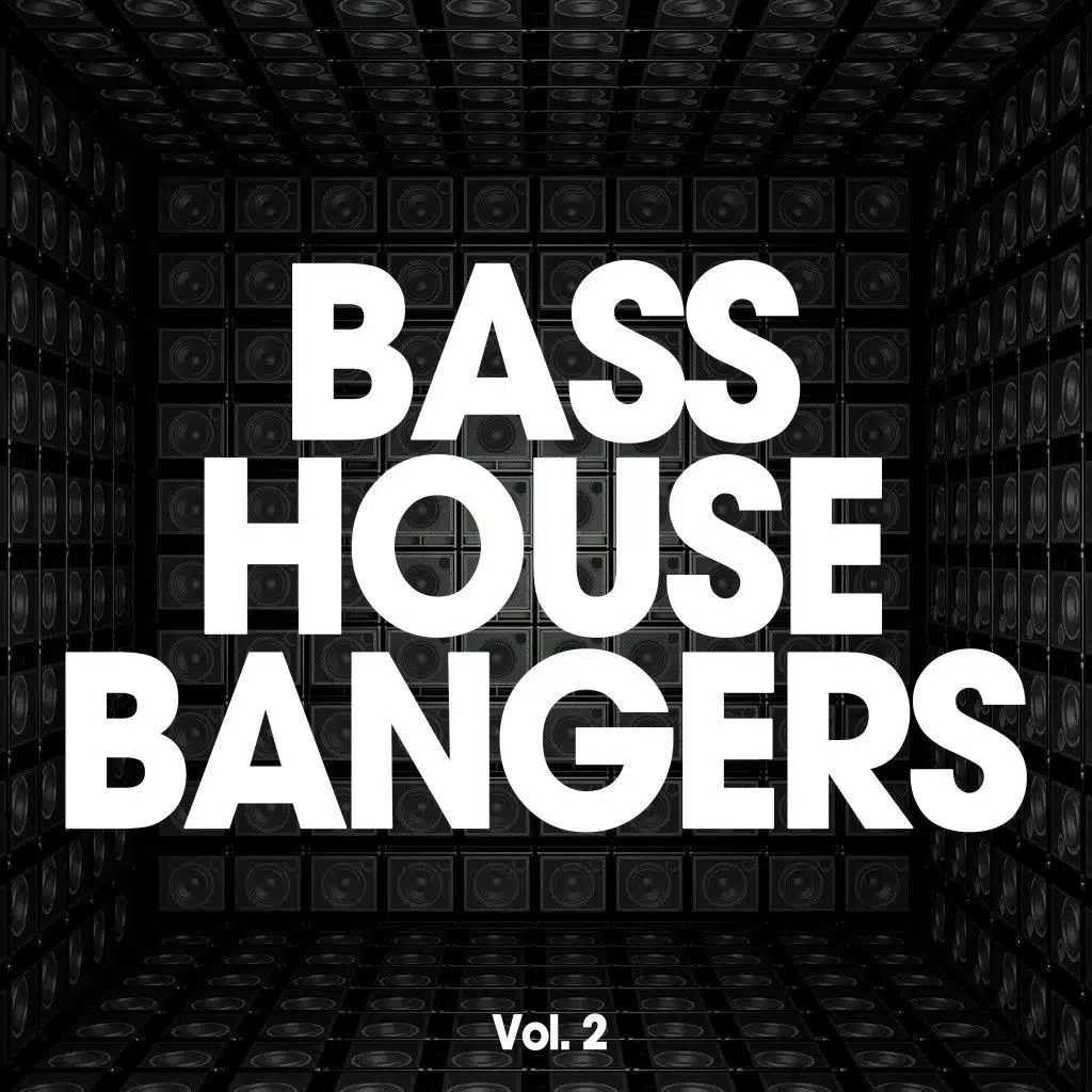 Bass House Bangers, Vol. 2