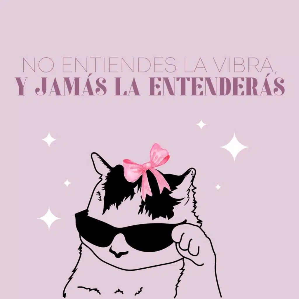 No entiendes la vibra, y jamás la entenderás