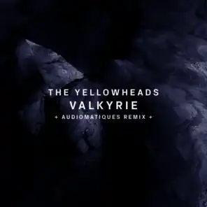 Valkyrie (Audiomatiques Remix)