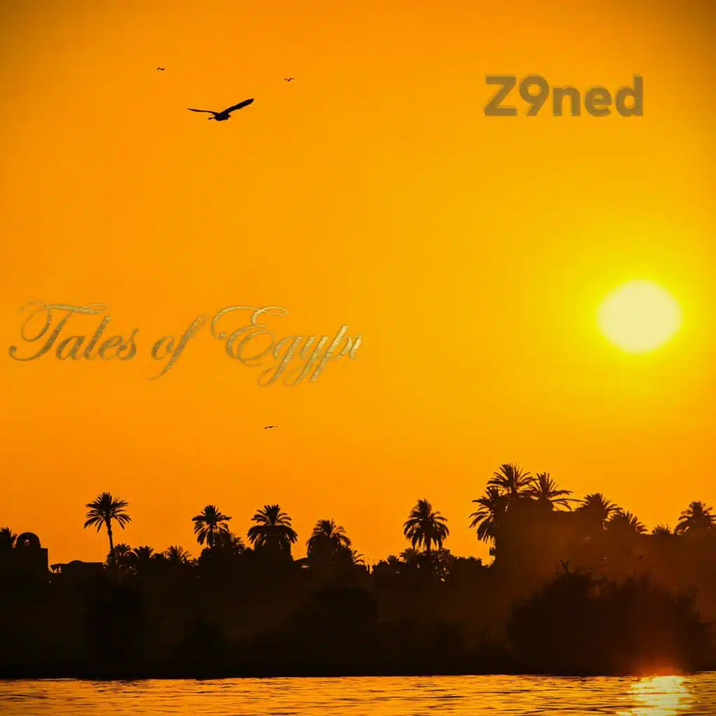 Z9ned