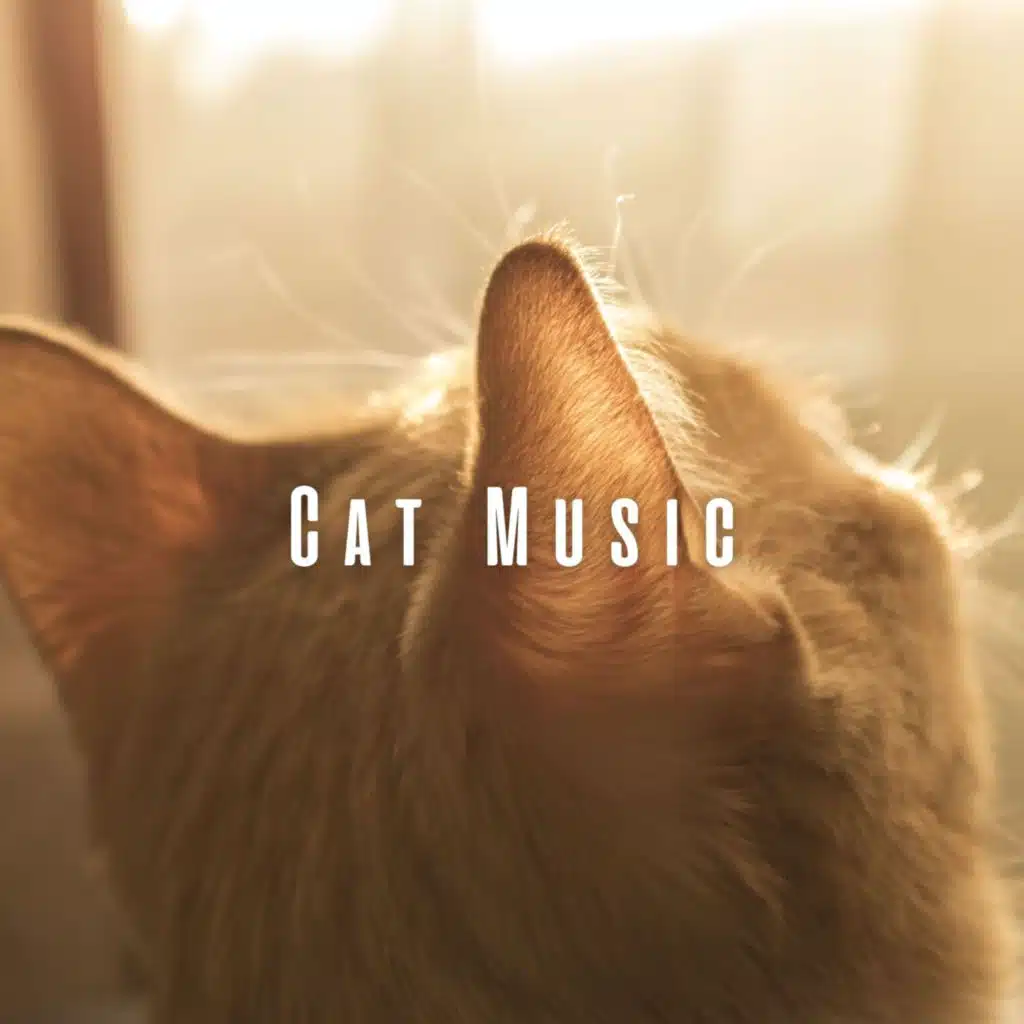 Cat Music: Harmonious Tunes for Dreamy Cats