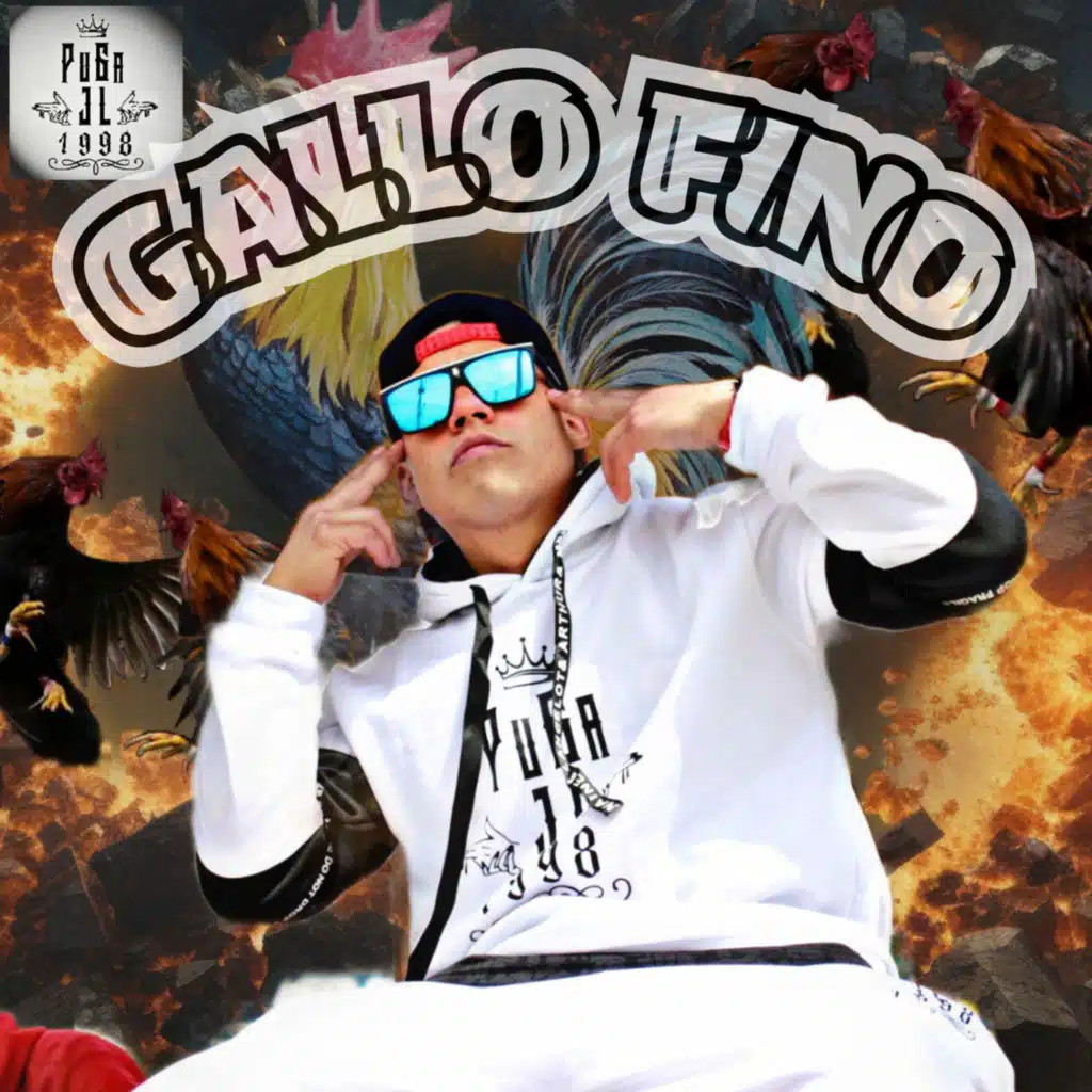 Gallo Fino