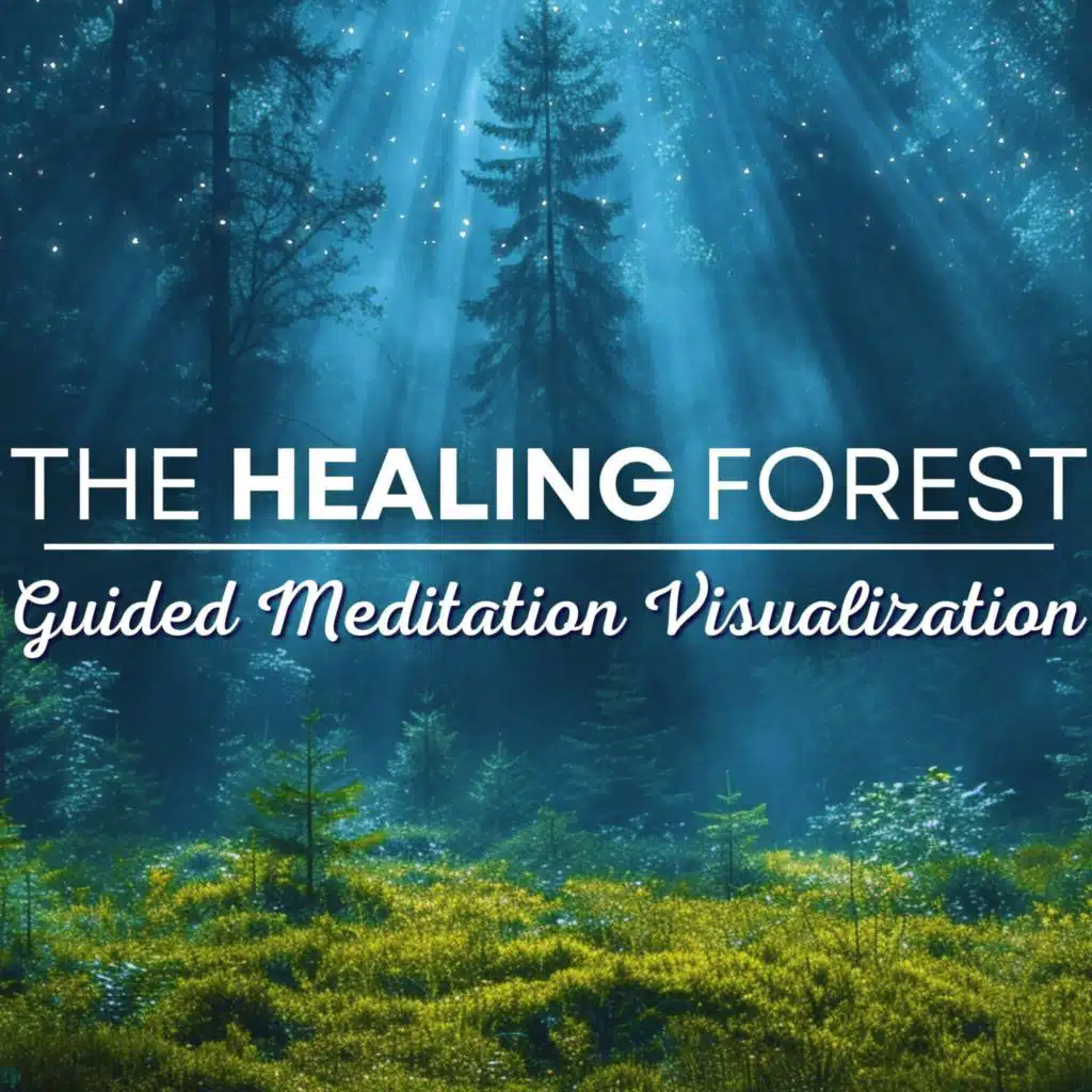 The Healing Forest | Guided Meditation for Mind Body & Spirit Healing