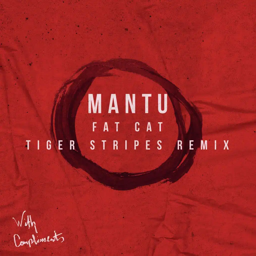 Fat Cat (Tiger Stripes Remix)