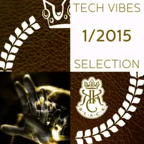 Tech Vibes Selection 1/2015
