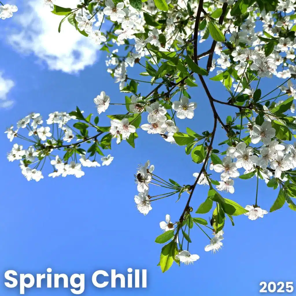 Spring Chill 2025