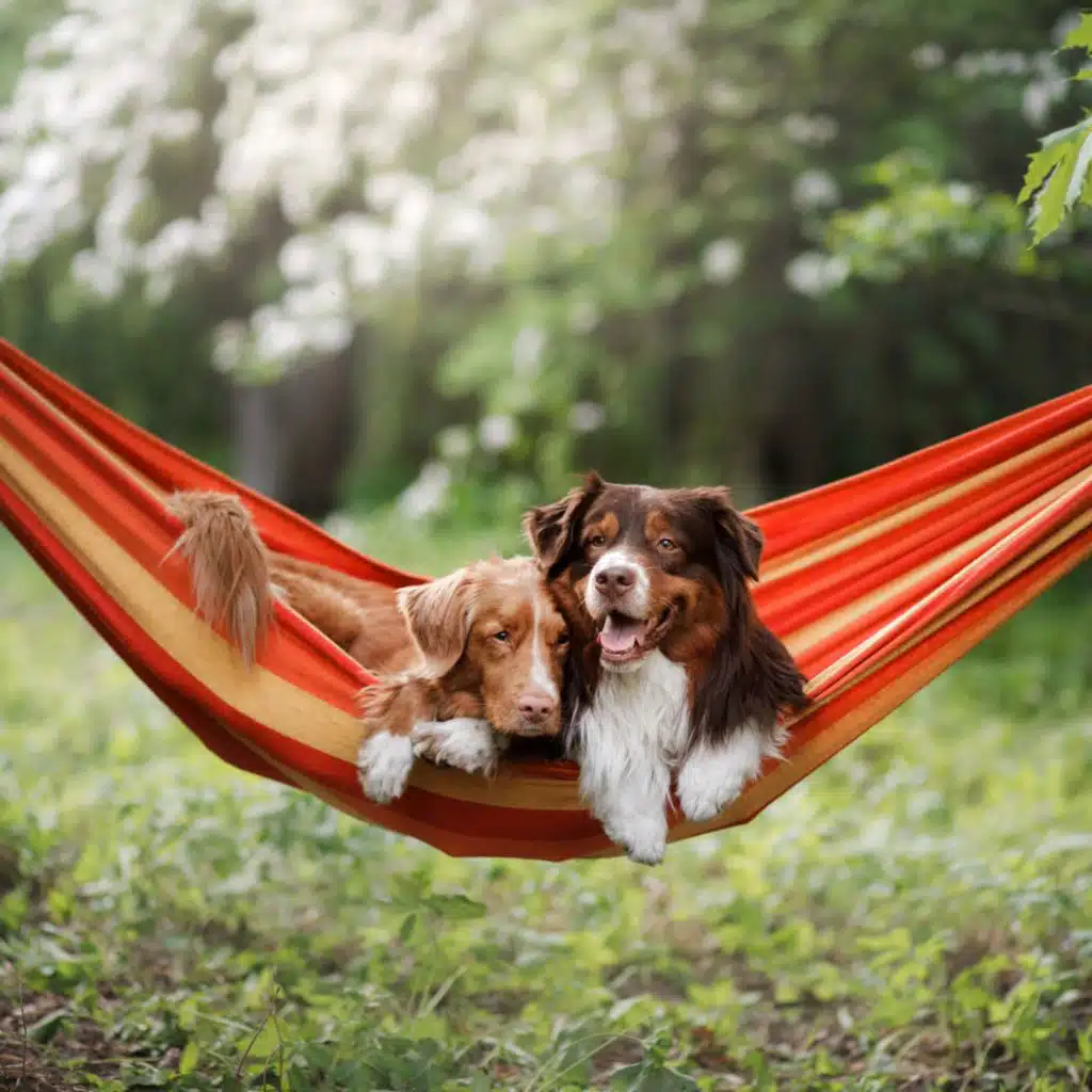 Serene Sounds for Dogs' Relaxation
