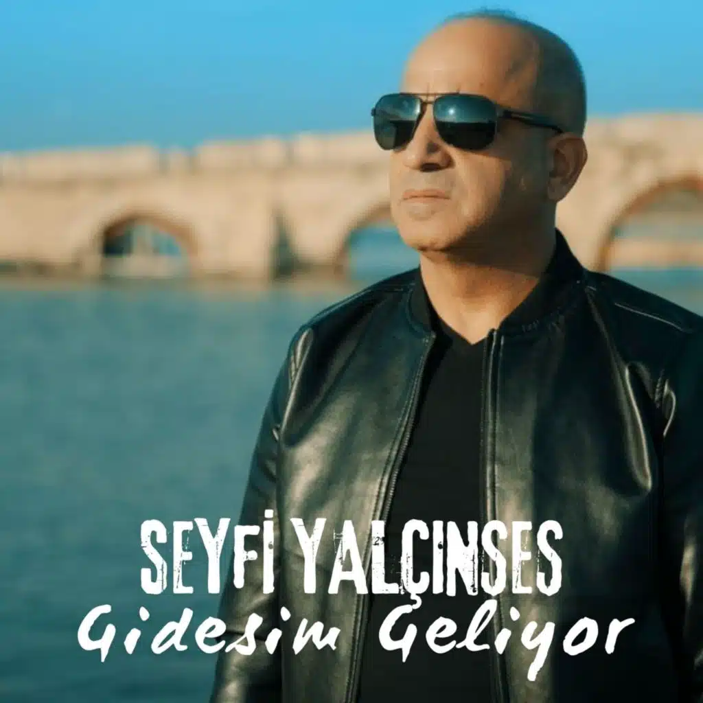 Seyfi Yalçınses