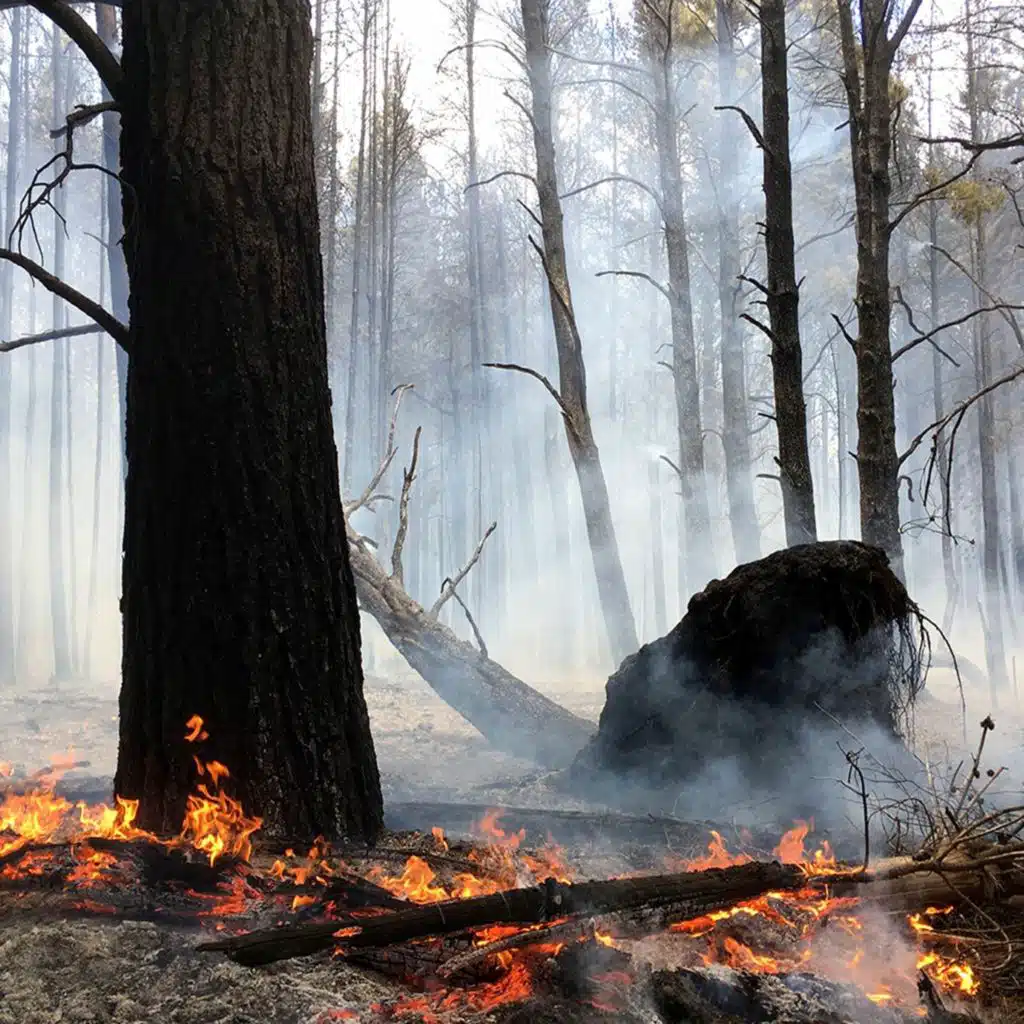 Zamba De Los Duendes