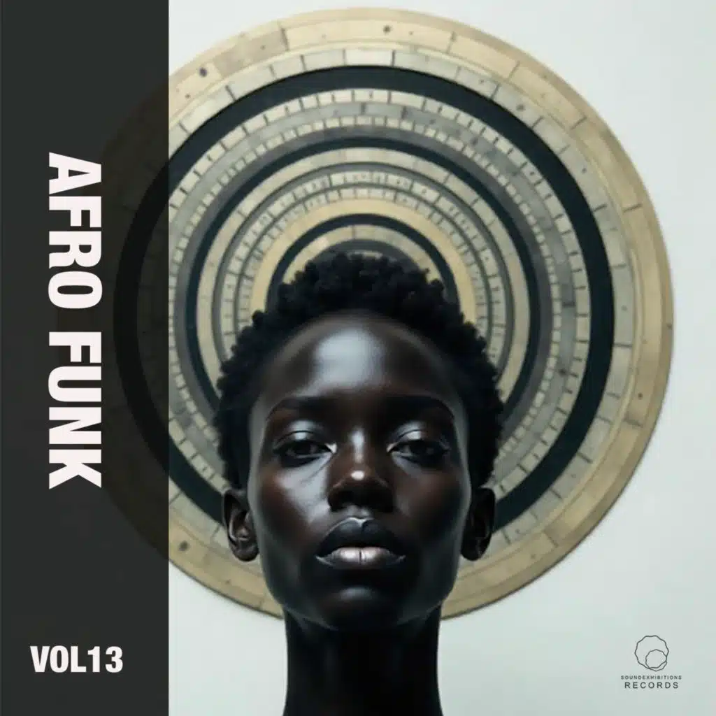 Afro Funk, Vol. 13